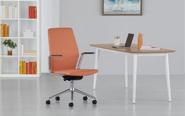 Espo Task & Executive Chair, Office Environment